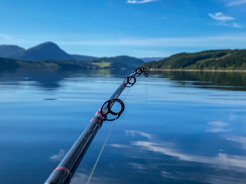 Todalsfjord Norwegen Ferienhaus B 08 Natur Umgebung Angeln.jpg