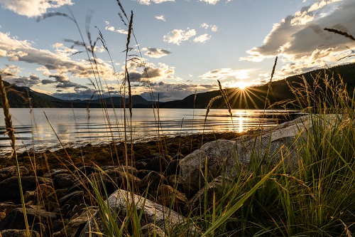 Todalsfjord Norwegen Ferienhaus B 08 Natur Umgebung Ufer.jpg