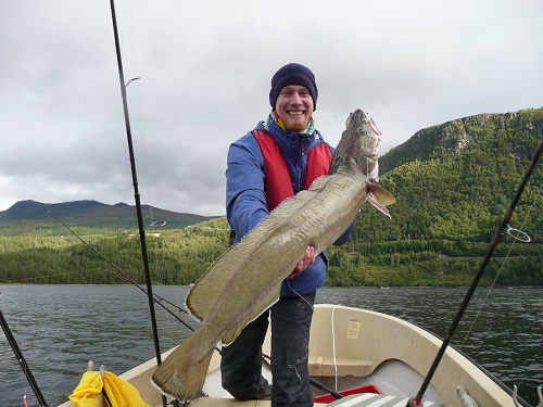 Todalsfjord Fisch15