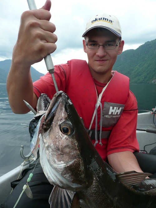 Todalsfjord Fisch26