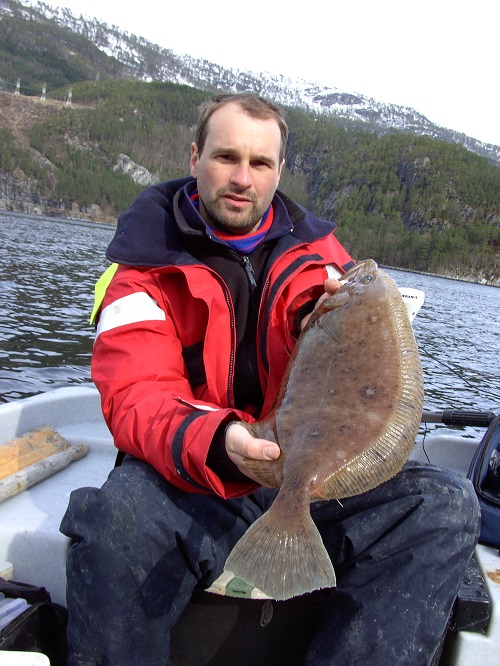 Todalsfjord Fisch29