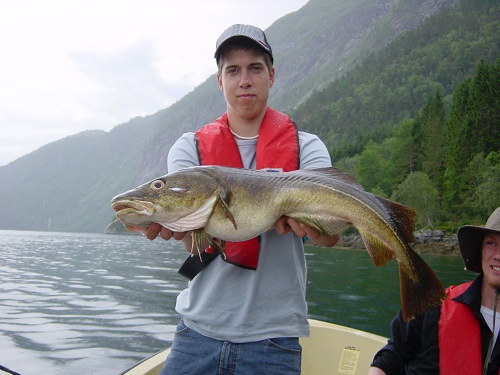 Todalsfjord Fisch32
