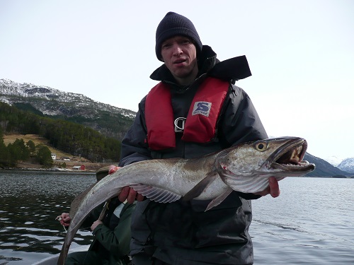 Todalsfjord Fisch35