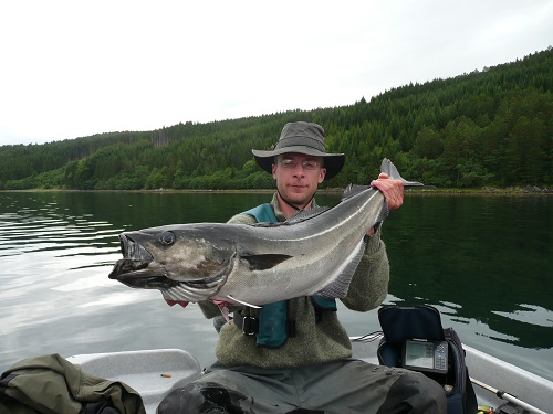 Todalsfjord Fisch57