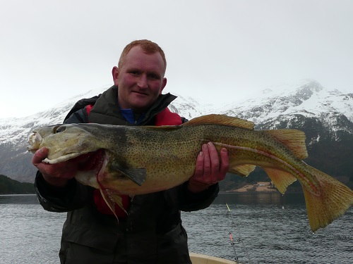 Todalsfjord Fisch61