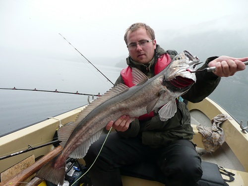 Todalsfjord Fisch69