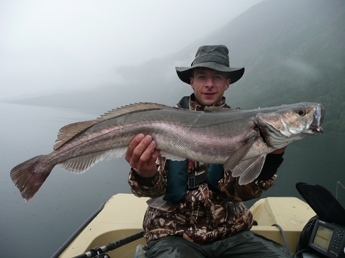Todalsfjord Fisch70