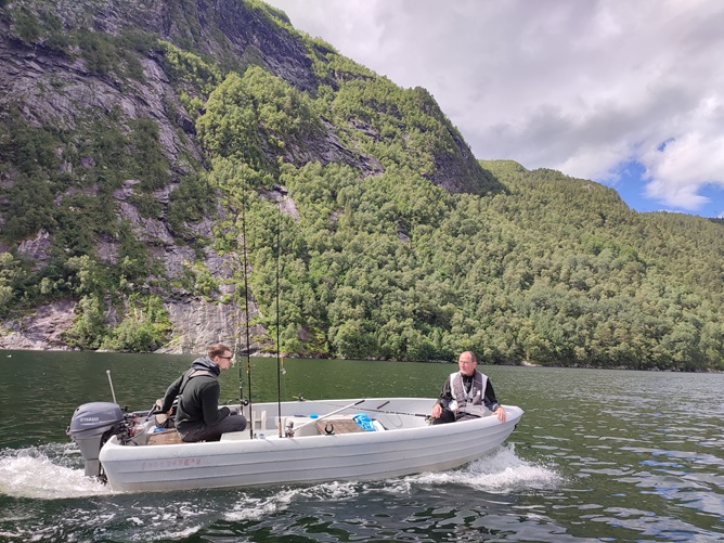 Todalsfjord Boot Steg Pioner 15 2