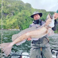 Todalsfjord, Norwegen - Mai 2025 - Preis-/Leistungsbeispiel