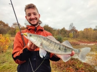 Raubfischangeln am großen Strom - Zander Angeln mit Gummifisch - Kurs Spinnfischen IX./26